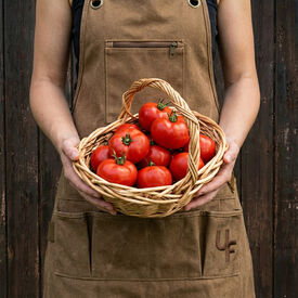 Early Doll, (F1) Tomato Seeds